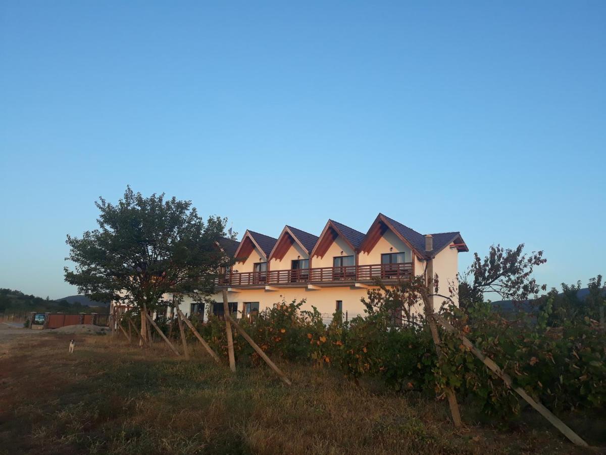Pensiunea Casa Negrea Ighiu Exterior photo
